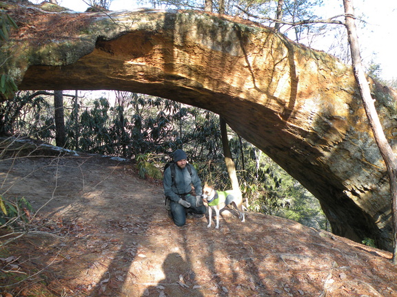 Sheltowee Trace